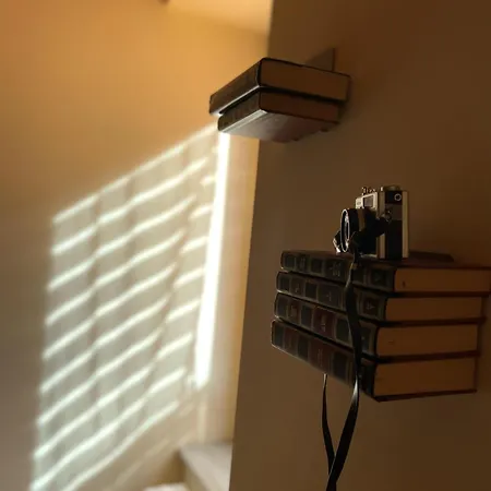 Apartment House Of Artist